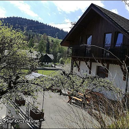Apartamento "Dom Pod Grzybkiem" Krościenko Exterior foto